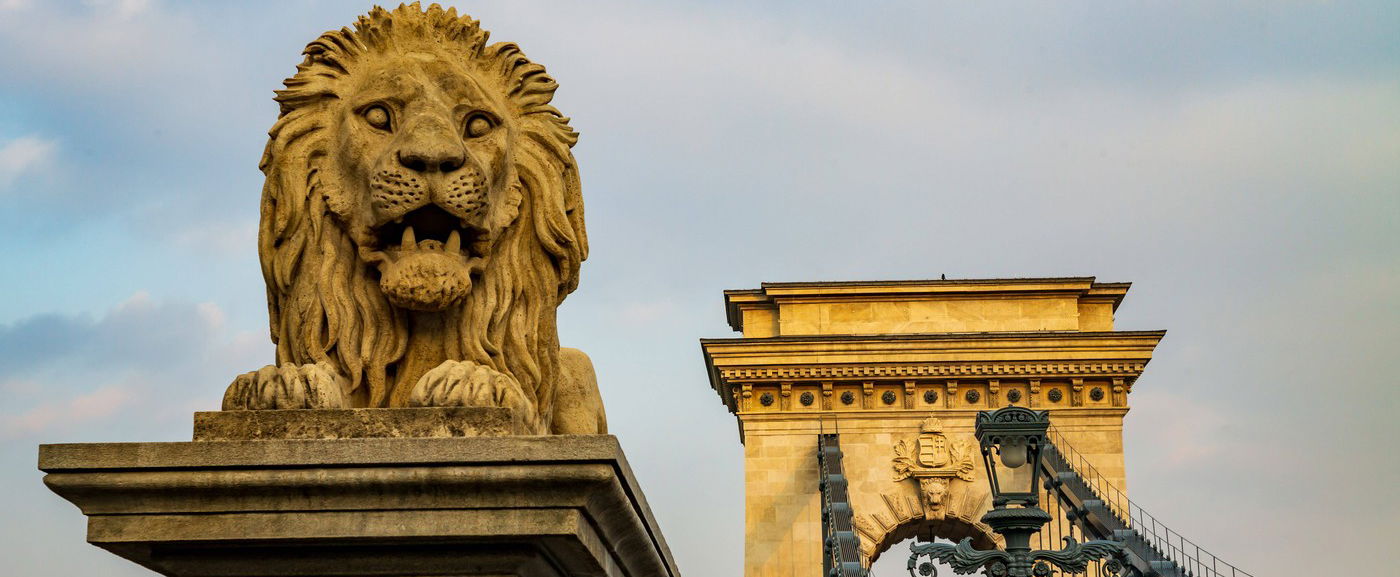 Példátlan, ami átúszott a Lánchíd alatt, Budapest erre nem volt felkészülve, ezrek kapták elő azonnal a kameráikat