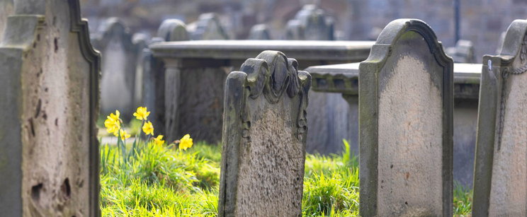 Megtalálhatták az első vámpírt Veszprém vármegyében, szörnyű sorsa lett