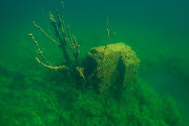 Legendás ősi város nyomára bukkantak a búvárok Európa partjainál, 7000 éves kőstruktúrákat fedeztek fel