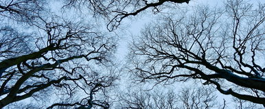 A román Bermuda-háromszögben a tudomány is csődöt mond, a Discovery kutatói vallottak arról, hogy mit éltek át