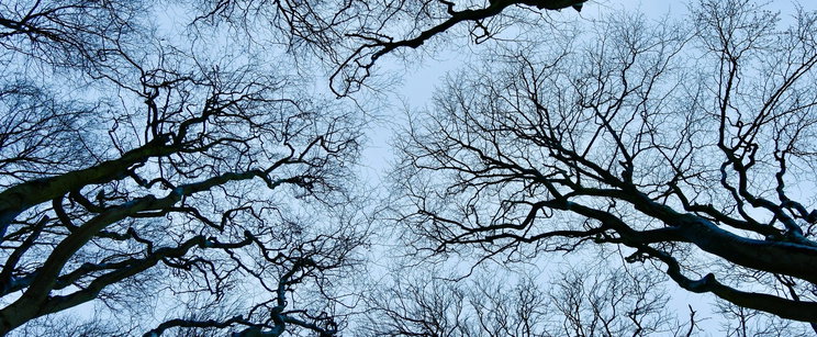 A román Bermuda-háromszögben a tudomány is csődöt mond, a Discovery kutatói vallottak arról, hogy mit éltek át