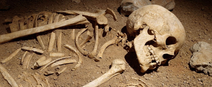 Gyomorforgató hirdetésre bukkantak a magyar nyomozók, emberi testrészt árult a fővárosi férfi