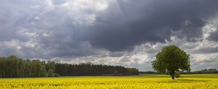 Pontosan tudjuk, ilyen idő jön áprilisban, kőkemény lesz a fordulat