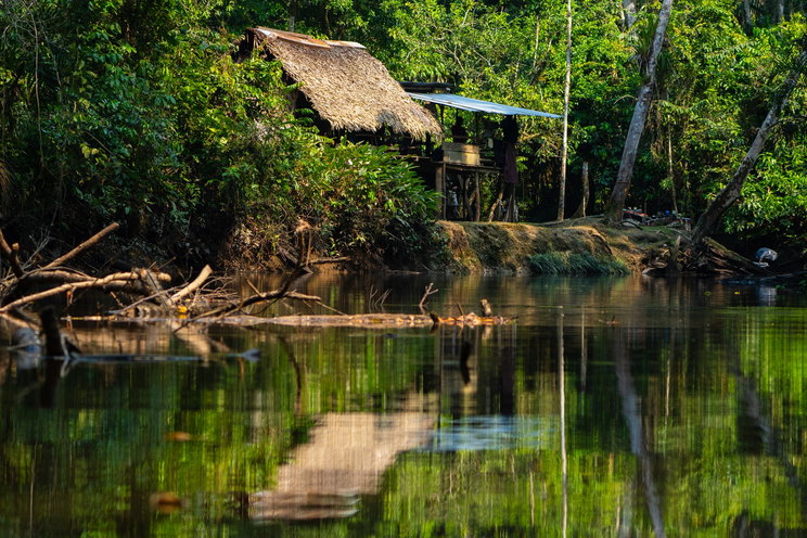 Föld alatti "várost" találtak a tudósok az amazonasi őserdőben, nem emberek építették