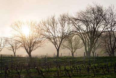 Komoly változás érkezik ma, elmondták a meteorológusok, milyen időre számíthatunk húsvétkor