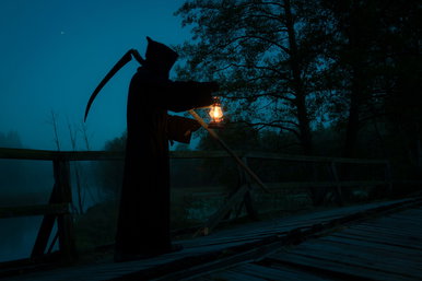 Tömegesen pusztulnak el a kutyák ezen a hídon, a séta egy pontján még a legjólneveltebb eb is megőrül