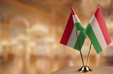 Kiderült kire húzza az ikszet a Dancing with the Stars nyertese, meglepő videó terjed