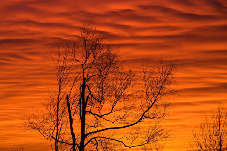 Hatalmas adag szaharai por érte el a Kárpát-medencét, ami teljesen átírja a heti időjárást - részletes időjárás előrejelzés