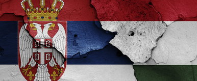 Valósággal felrobbant a szerb internet Magyar Péter győzelmétől, ennyi fajta vélemény még itthon sincs