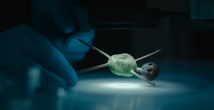 Folytatódik a Netflixen az elmúlt évek legkeményebb thrillere, nem bírnak betelni vele a nézők