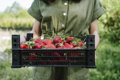 A magyar epernek nincs párja, de egekbe szökött az ára