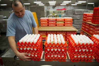 Kellemetlen meglepetés érte a nőt, aki csak néhány tojást akart vásárolni a boltban