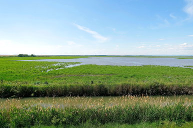 Megszólalt a szakértő Békés vármegyéről, egyre nagyobb gond, már a helyiek is érzik