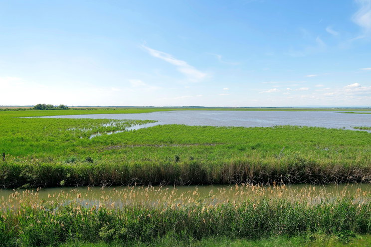 Megszólalt a szakértő Békés vármegyéről, egyre nagyobb gond, már a helyiek is érzik