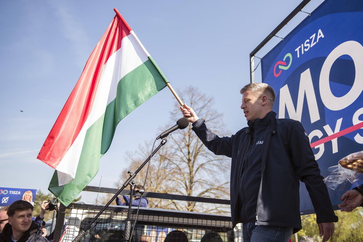 Azonnal új üzletág épült ki a Tisza megválasztása után, Radnai Márkot keresi mindenki