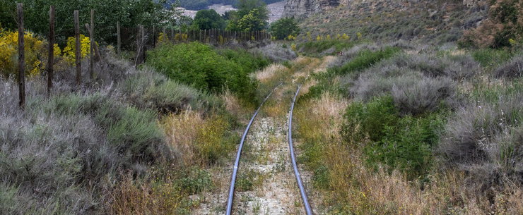 Vasúti síneket találtak egy magyar erdő mélyén, a látvány rendkívüli, már terjed a videó