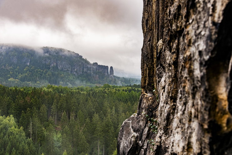 Vadkamerát telepített az erdőbe egy zalai férfi, hatalmas szerencséje volt a felvételekkel