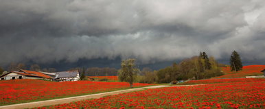 Erre kell számítani a hétvégi időjárástól, nem lesz hiány esőből, kemény lehet a hidegfront - Időjárás-előrejelzés