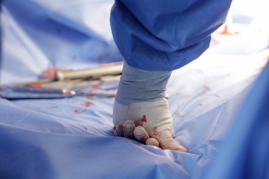 Ez jelenleg a legveszélyesebb munka Magyarországon, a pszichés károsodás már néhány alkalom után garantált