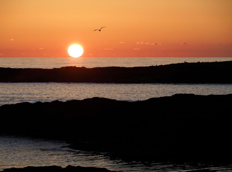 Fénylő aranygömböt találtak a tudósok a tenger mélyén, évek munkája kelett hozzá, hogy megfejtsék, mi az