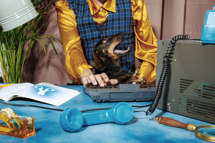 Három kutyát hagytak egyedül egy biztonsági kamerával, a gazdi a munkahelyéről rohant haza mikor bejelzett az eszköz