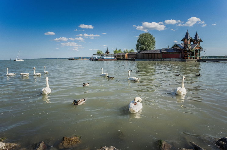 Rejtélyes fehér réteg lepte el a Balaton partját, ilyet még a helyiek se láttak