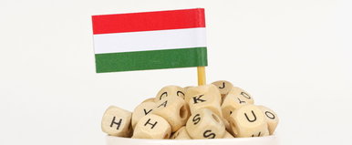 Itt a nyelvi világrekord, hihetetlen, mire képes ez a 118 betűs magyar mondat