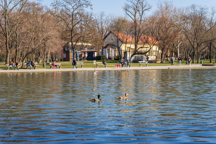 Tetlegességig fajult egy vita a Városligetben, undorító módon támadt rá egy férfi 3 védtelen nőre