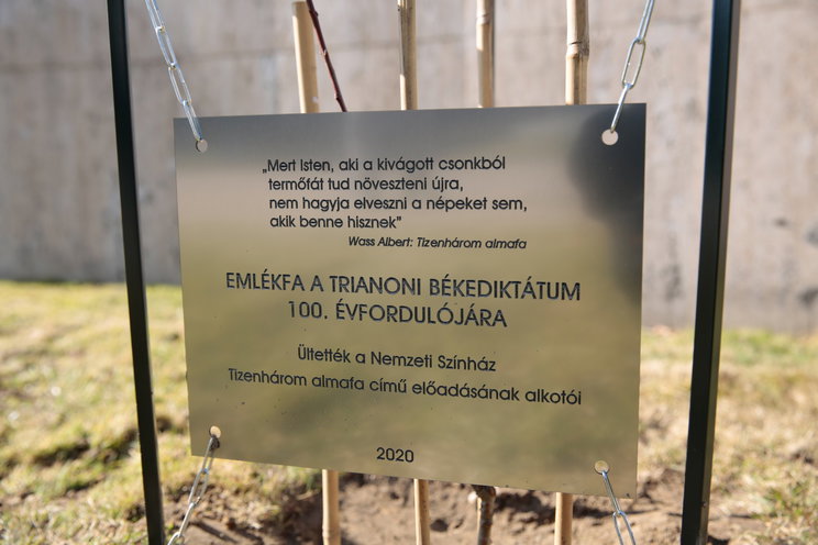 Nem fogod elhinni, mi lett Wass Albert fiából, sosem gondolta volna az apja, hogy ilyen karriert fut be