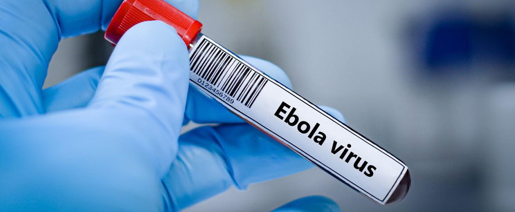 Ebola-riadó, a WHO a legmagasabb szintű nemzetközi vészhelyzetet hirdette – nincs vakcina