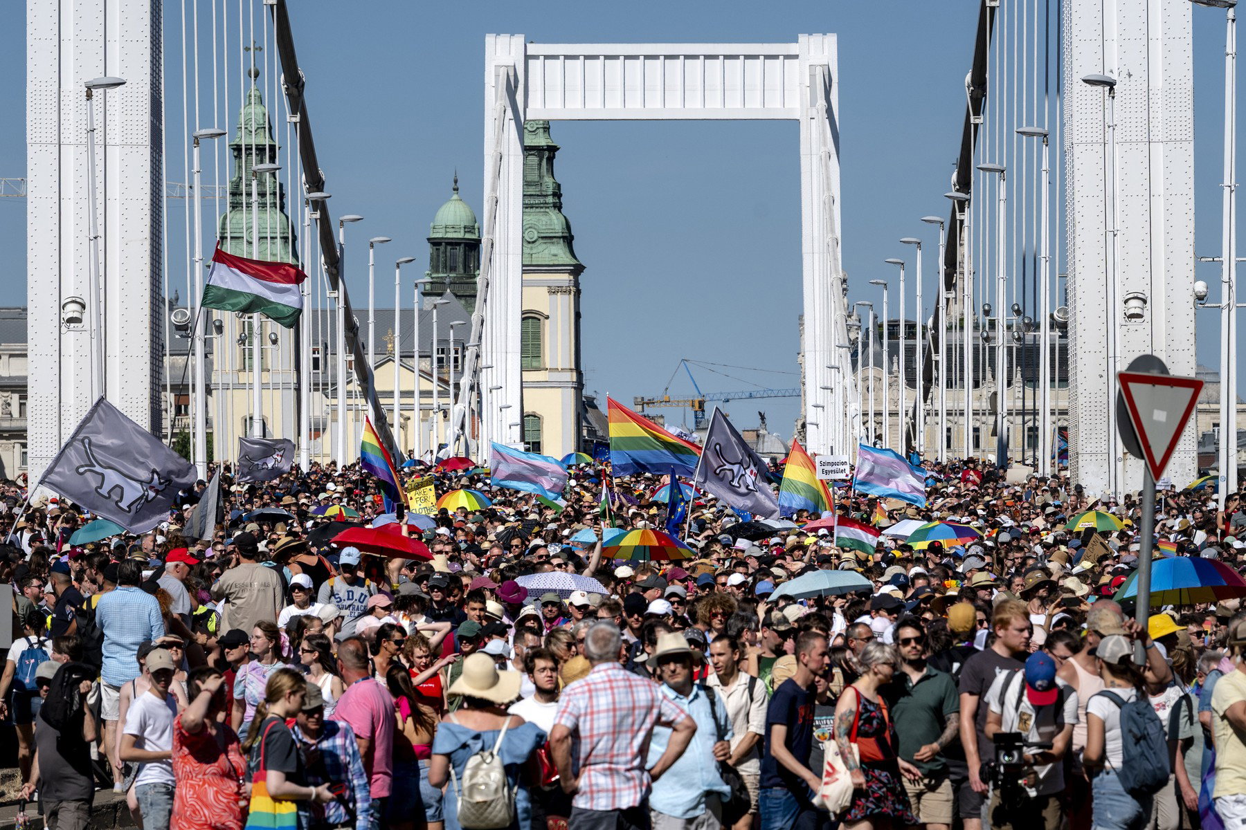 Máris kapható az LMBTQ-kokárda