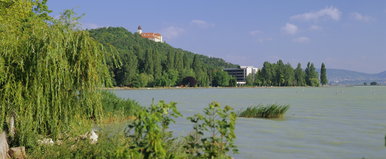 A Balatonban ugráló őz után itt az újabb szenzáció, olyat videóztak a vízben, hogy nem hittek a szemüknek