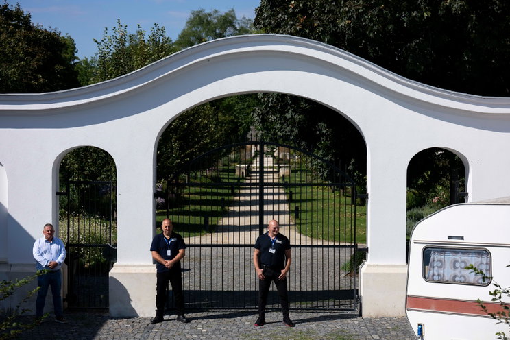 Ezért halhattak meg a hatvanpusztai zebrák, komoly oka lehetetett a rejtélyes halálesetnek