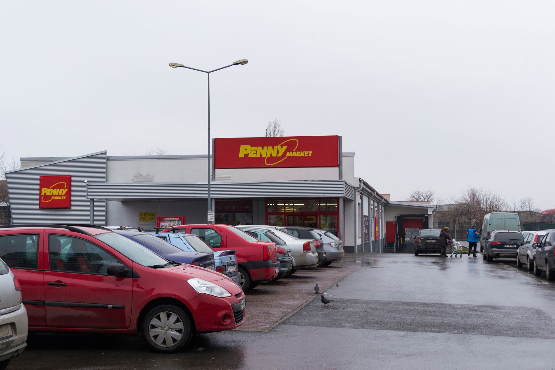 Hatalmas gólya kószált egy kalocsai Penny Market előtt, sosem lehet látni ilyen közelről az állatot