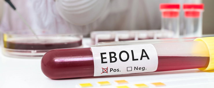 Európában azonosították az Ebola-vírust