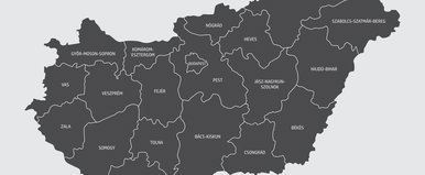A Magyar Kétfarkú Kutya Párt is beszállt a vármegyevitába