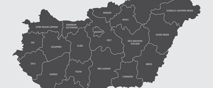 A Magyar Kétfarkú Kutya Párt is beszállt a vármegyevitába