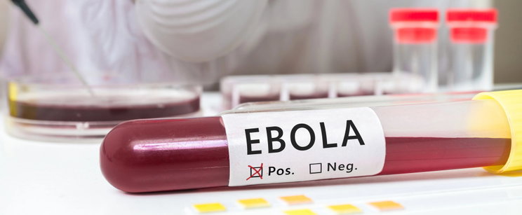 Halálos vírus veszély, tombol az Ebola, megkezdődtek a vakcina tesztek