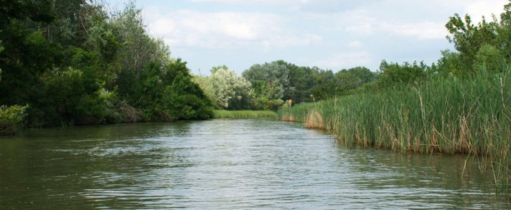 Tragédia a Tiszán: Hiába kiabáltak a vízimentők, a halálba úszott a fiatal férfi – Egy másik fiút még mindig keresnek!