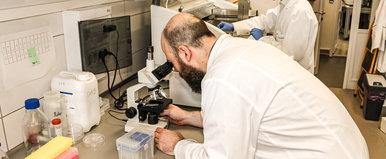 Szegedi kutatók érték el az áttörést, mesterséges intelligencia segíthet az áttétek ellen