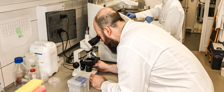 Szegedi kutatók érték el az áttörést, mesterséges intelligencia segíthet az áttétek ellen