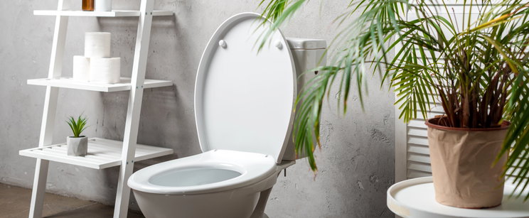 Ez történik a levegőben, ha nyitott tetővel húzod le a WC-t - Ezután többé nem fogod elfelejteni lehajtani