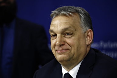 Fizetős táborba hívják a DPK tagjait, százezer forint a legdrágább jegy