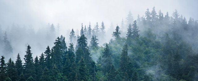 Nem örülhetünk sokáig: ekkor fog újra esni az eső - Időjárás-előrejelzés