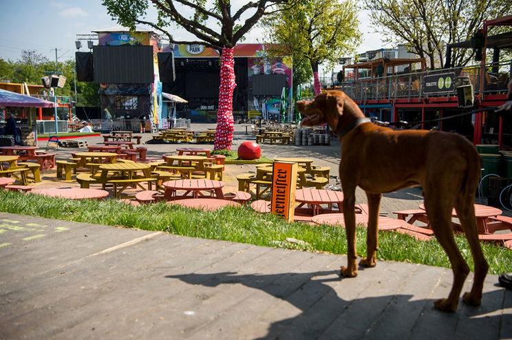 Új dizájnnal támad a Budapest Park