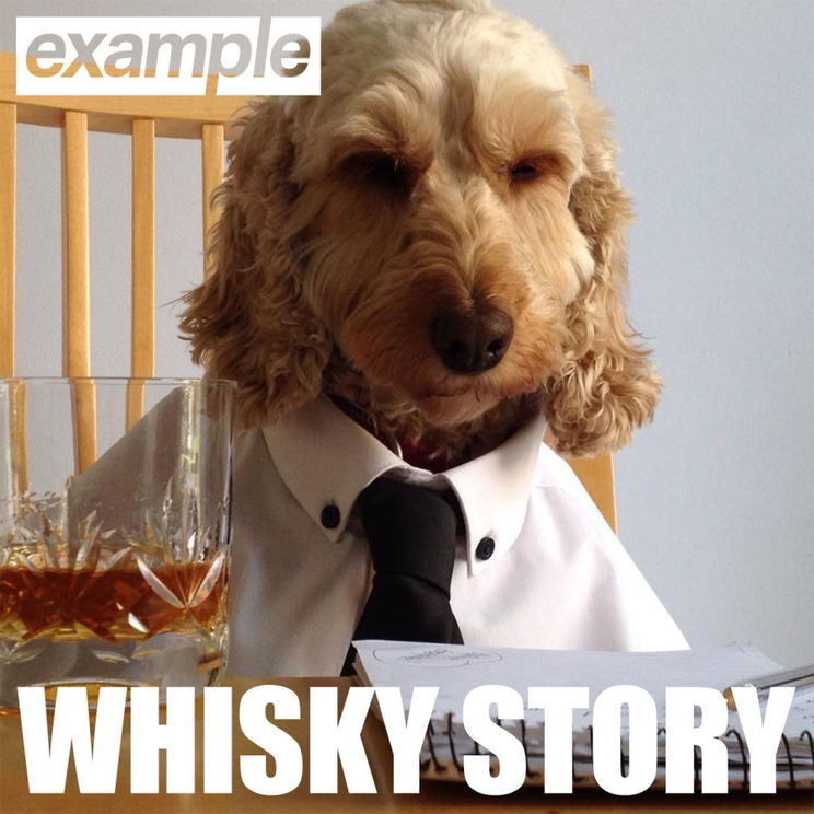 Example - Whisky Story