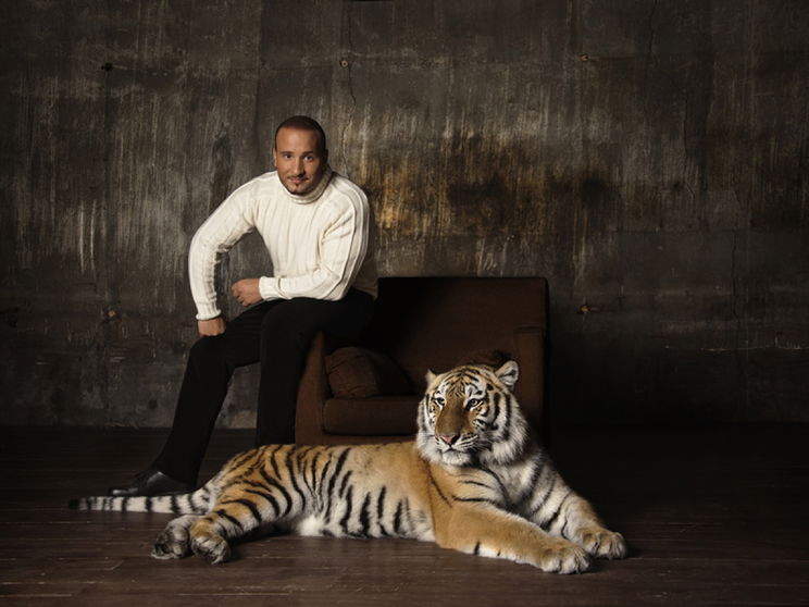 Agyvérzés vagy ájulás? Cirkuszi előadás közben lett rosszul a tigris