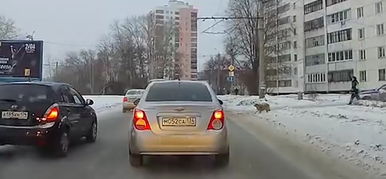 A rendőr és a sánta kutya – vajon mi fog ebből kikerekedni?