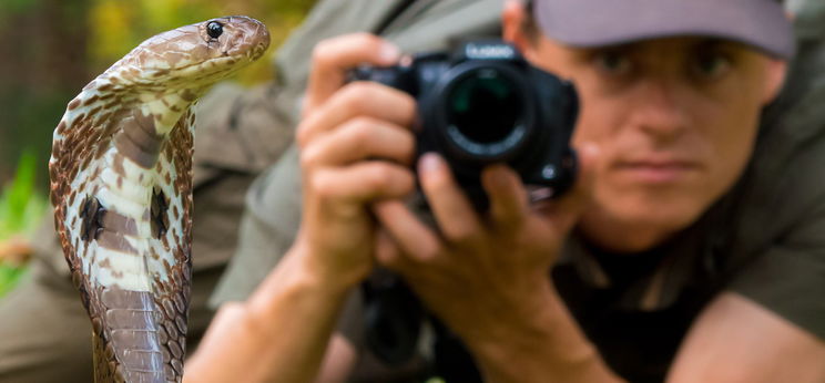 Magyar természetfotó győzött a World Press Photo-n