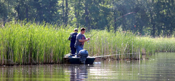 Mintha ott lennél a Tisza-tóban: zseniális az új halas videó